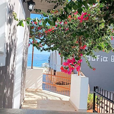 Sofia Beach Apartments 카보스 외부 사진