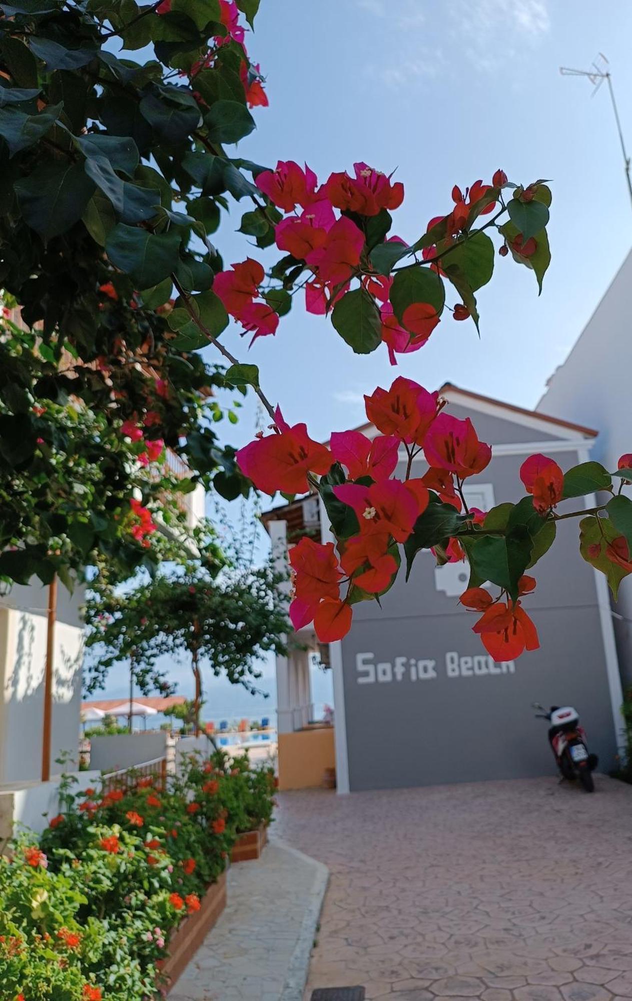 Sofia Beach Apartments 카보스 외부 사진