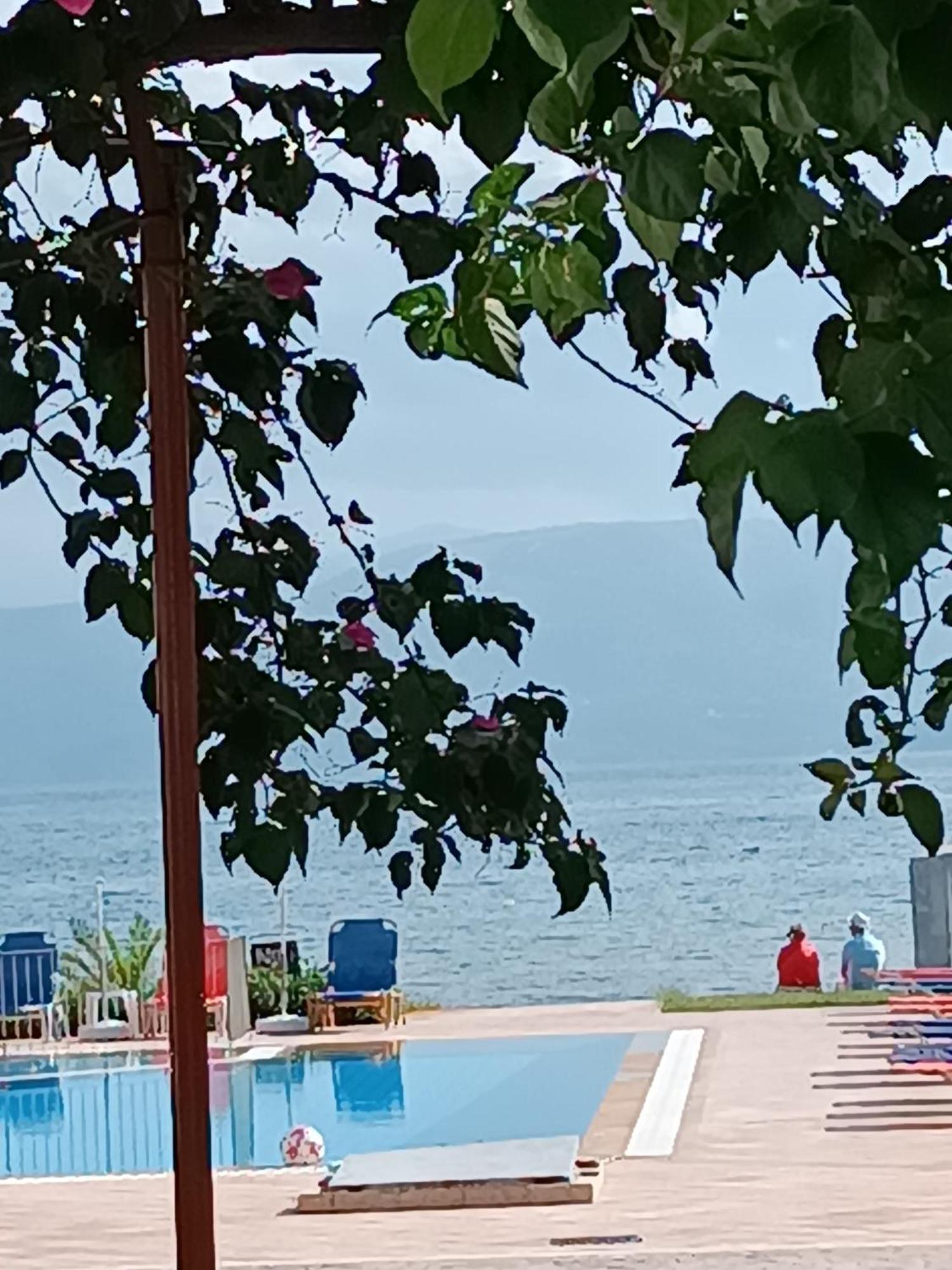 Sofia Beach Apartments 카보스 외부 사진