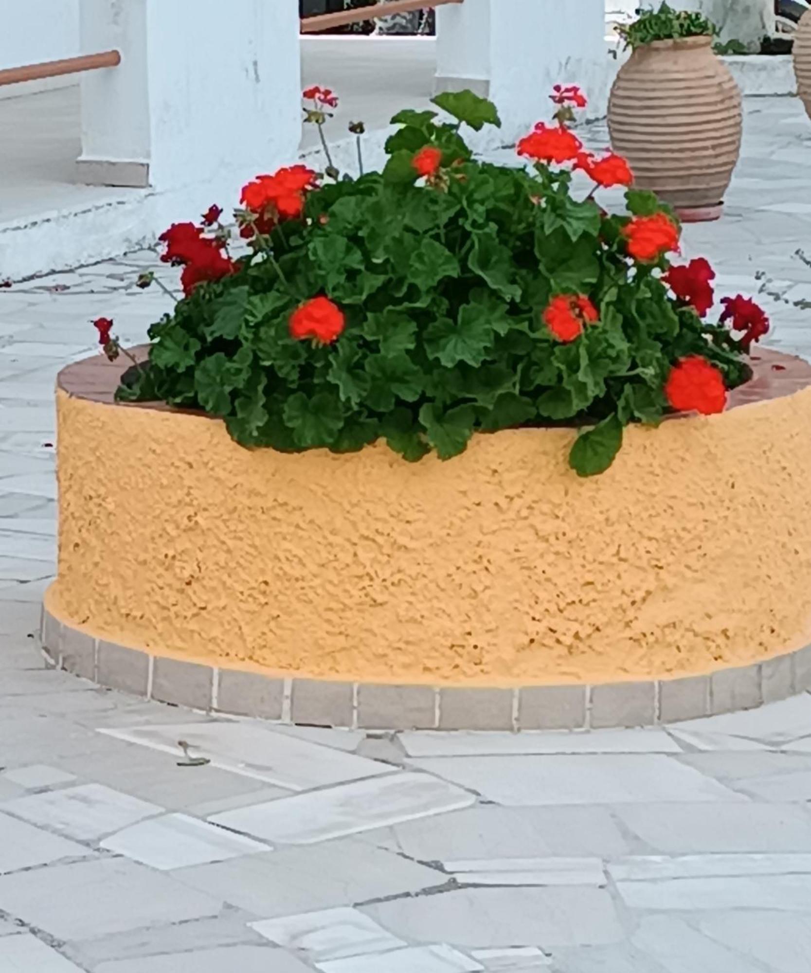 Sofia Beach Apartments 카보스 외부 사진